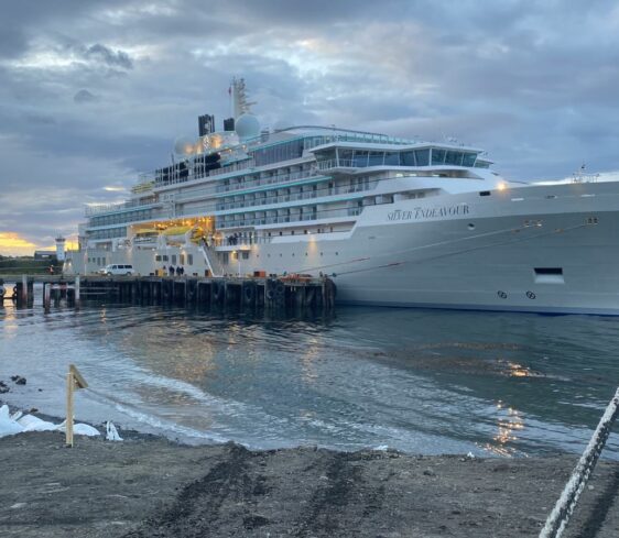 Silver_Endeavor_PW-4-562x489